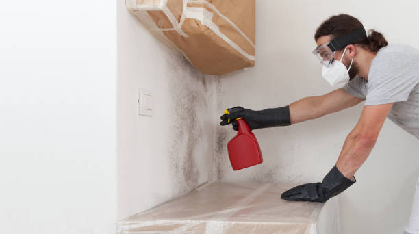 Professional Mold Cleanup technician working in Oakland, NJ